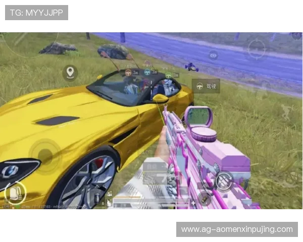 新葡京app网址官方推荐，确保每位玩家都能享受安全可靠的游戏环境